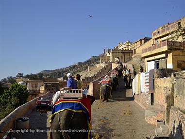 04 Fort_Amber_and Elephants,_Jaipur_DSC4996_b_H600
